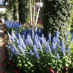 Meet your Posher, Robin